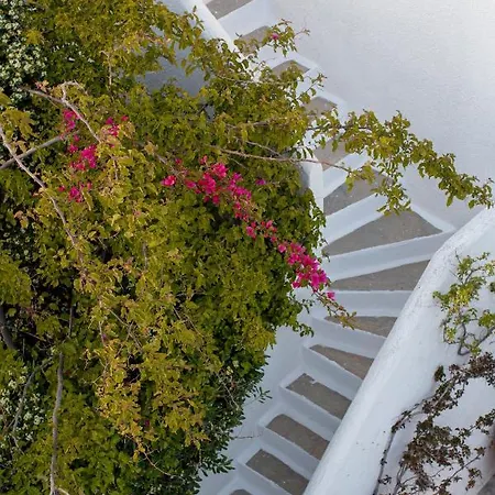 Andromeda Aparthotel Mykonos Town