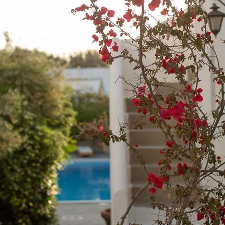 Aparthotel Andromeda 3*